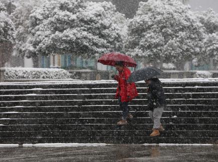 Snowflakes Dancing in the World 32