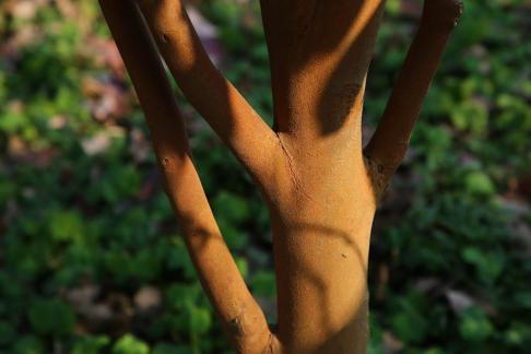 The quality of wood and stone 5