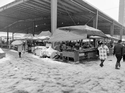 Snowy scenery 21