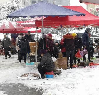 Snowy scenery 25