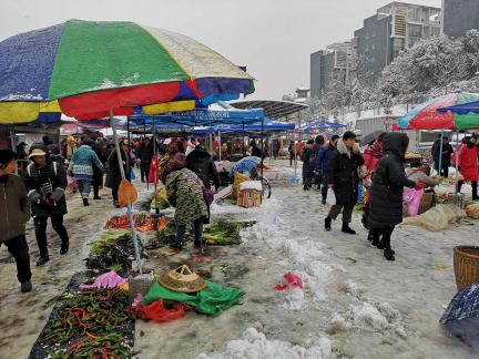 Snowy scenery 27