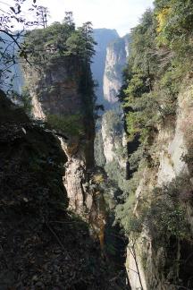 Thousand Peaks Pointed 20