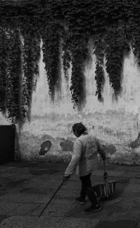 The Jiangnan in Water 33