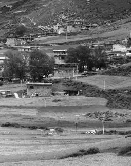 Mountain Dwelling Scene 19