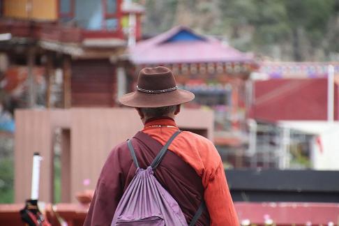 Tibetan architecture 8