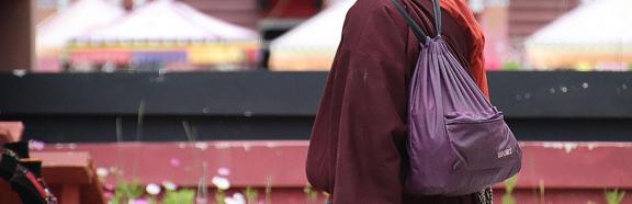 Tibetan architecture 9