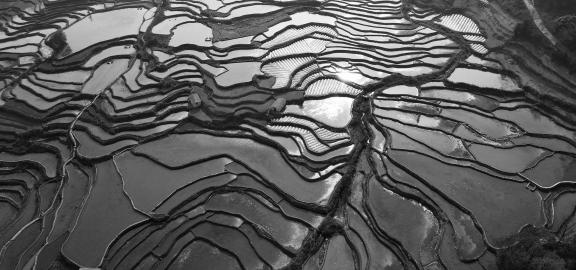 Terraced fields scenery 43