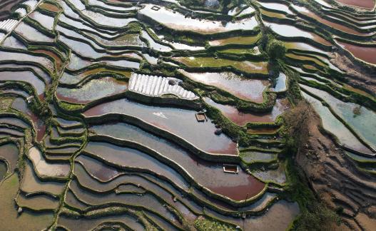 Terraced fields scenery 34