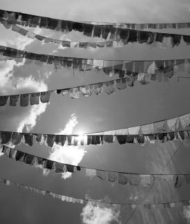 Colorful flags fluttering 4