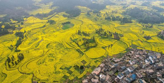 The Poetry of the Earth 41