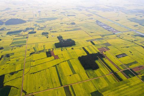 Spring scenery 3