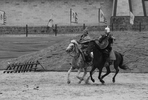Equestrian performance 31