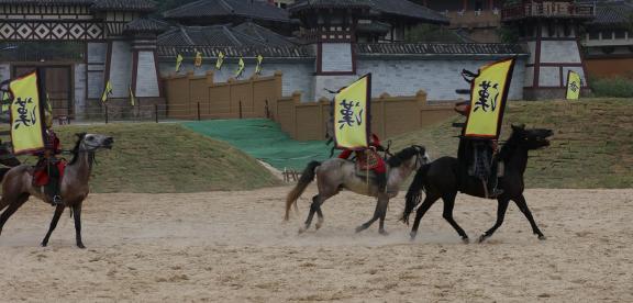 Equestrian performance 22