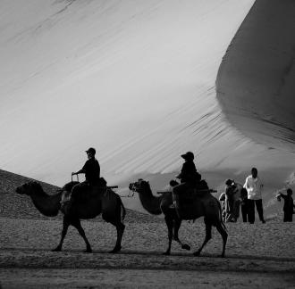 Desert Journey 17