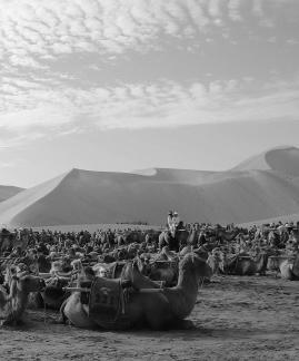 Desert Journey 18