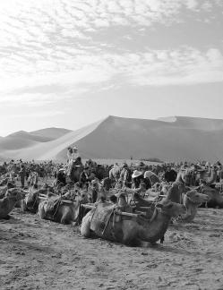 Desert Journey 20