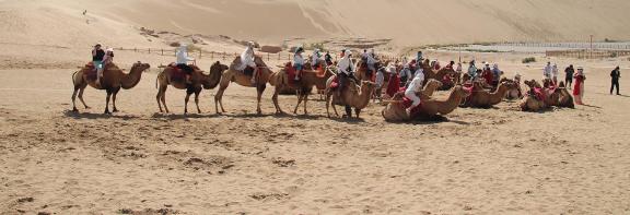 Desert Secret Realm 23
