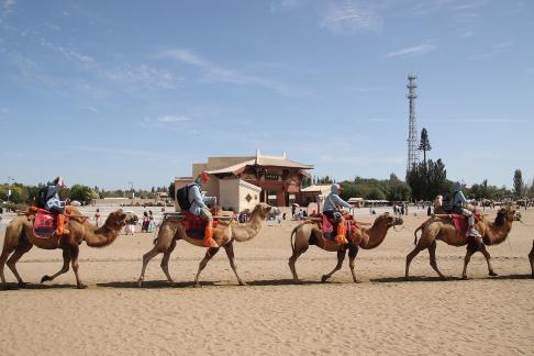 Desert Secret Realm 26