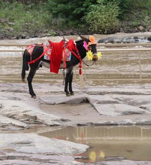 By the Yellow River 3