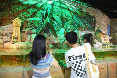 Aquarium Tour 5
