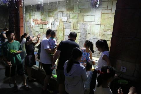 Aquarium Tour 6