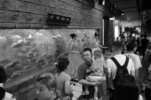 Aquarium Tour 1