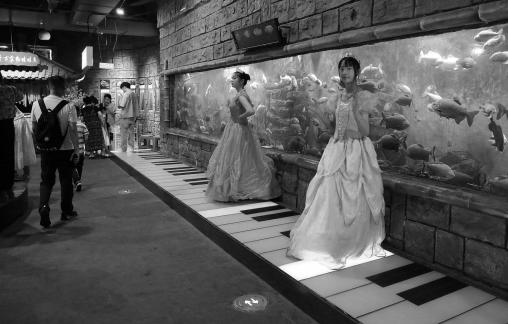 Aquarium Tour 4