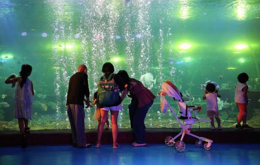 Aquarium Tour 13