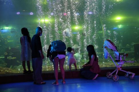 Aquarium Tour 14