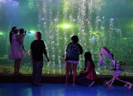 Aquarium Tour 15