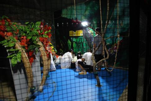 Aquarium Tour 9