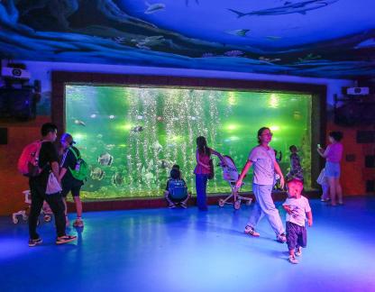 Aquarium Tour 11