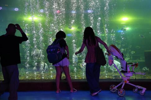 Aquarium Tour 12