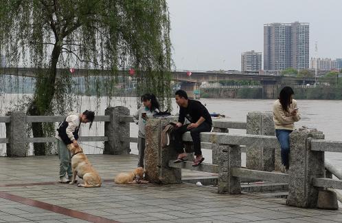 If I were in Jiangnan 3