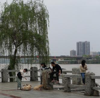 If I were in Jiangnan 4