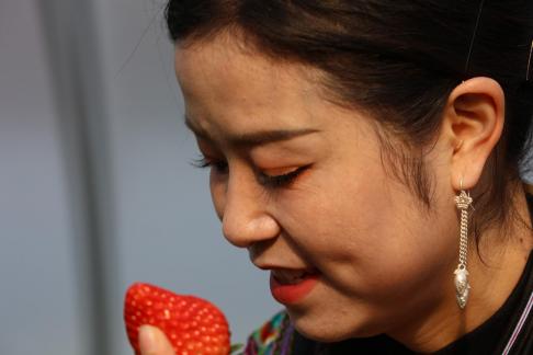 Strawberry Base 4