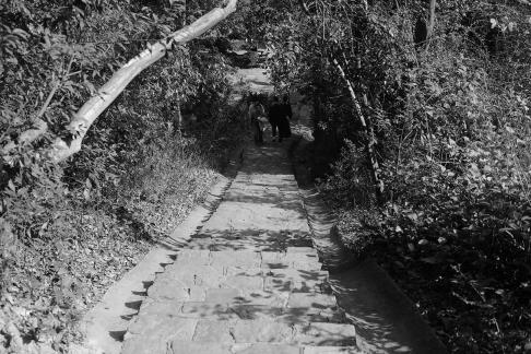 Journey to Yuelu Mountain 29