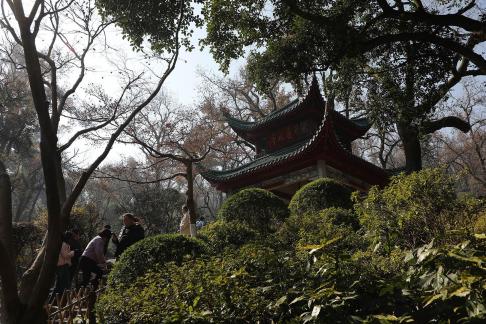 Journey to Yuelu Mountain 18