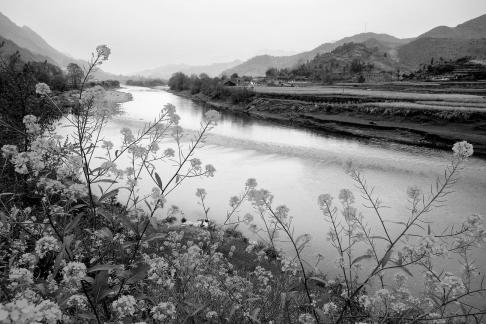fengjing4
