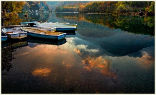 Morning and the boats
