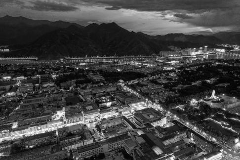 Red and White Symphony 8