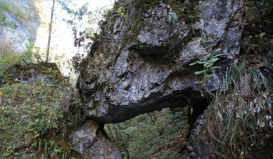 Deep in the mountains 12