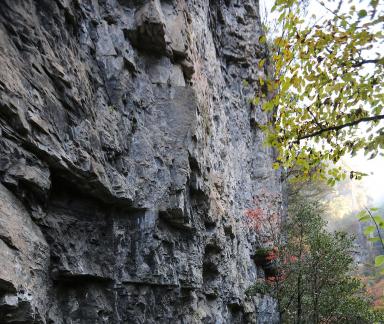 Layered Autumn Colors 2