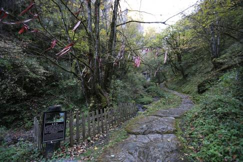 Mountain View Ancient Road 5