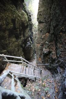 Mountain View Ancient Road 12