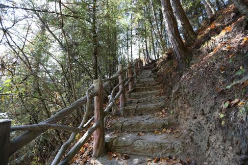 Mountain View Ancient Road 13