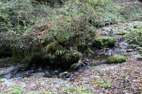 In the mountains and forests 10