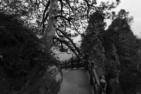 Mountain landscape 50