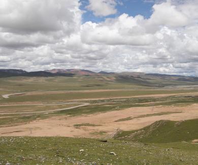 Tianlu Weaving Brocade 4