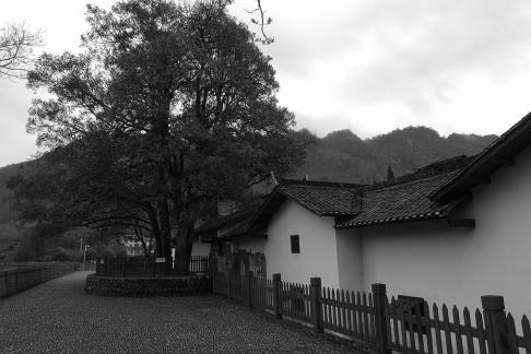 Deva asks the mountain